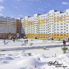 Портфолио